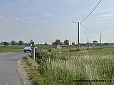 Zandlemig Vlaanderen